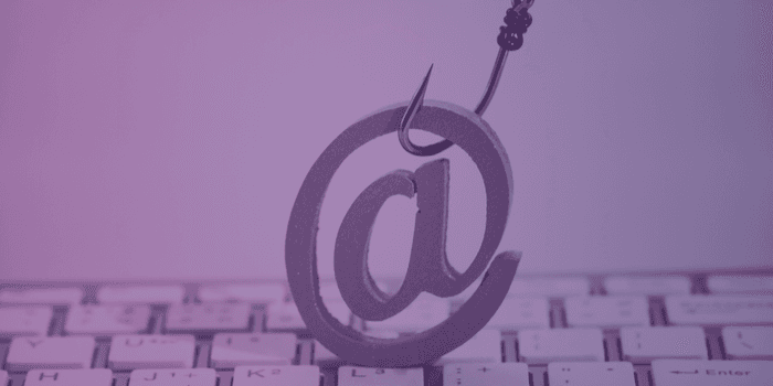 Online Fraud